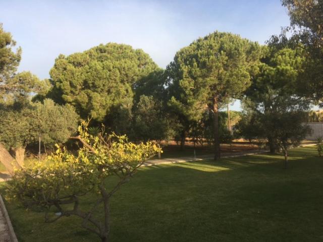 Villa Torrealta, 4000 M2 *