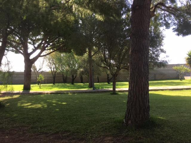 Villa Torrealta, 4000 M2 *