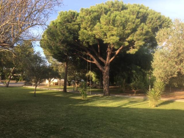 Villa Torrealta, 4000 M2
