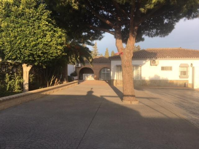 Villa Torrealta, 4000 M2 *