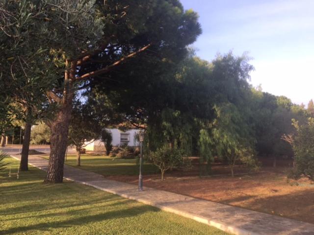 Villa Torrealta, 4000 M2
